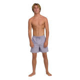The Billabong Men's All Day Layback Swim Trunks in Purple Ash