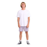 Billabong Men's Crossfire Submersible 17" Hybrid Shorts in Purple Ash