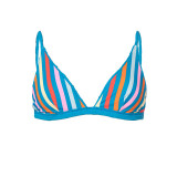 The Maaji Women's Lagoon Fog Ivy Triangle Bikini Top in Blue