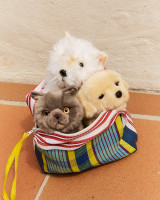 Bon Ton Toys Freddy the British Shorthair Plush Box