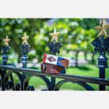 Zilker Belts Freedom Belt