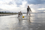 Waboba Water Bouncing Fetch Dog Ball alternate color option