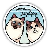Stickers Northwest Not Staring Just Judging Sticker