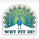 Stickers Northwest Why Fit In? Sticker