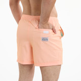 Party Pants Men's 5" Happy Hour Shorts Coral back view