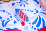 Packed Party Firework Hair Claw Clip Packed Party Firework front view
