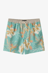 The O'Neill Men's Hermosa Elastic Waist Lined 17 inch Swim Trunks in Green