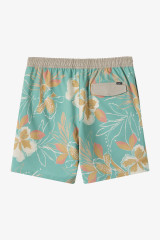 The O'Neill Men's Hermosa Elastic Waist Lined 17 inch Swim Trunks in Green