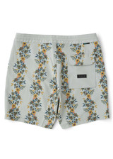 Vissla Voodoo Vines Boardshorts Bone Detail back view