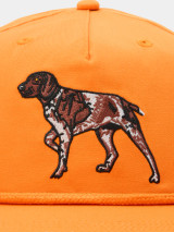 Duck Camp Pointer Snapback Hat