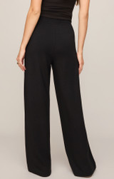Z Supply In Transit Modal Pants Black back view