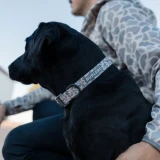 Burlebo Camo Dog Collar Classic Deer Camo Full side view