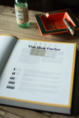 Johnny Vacay Texas Dive Bars Book