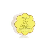 Spongellé Coconut Verbena Daisy Spongette