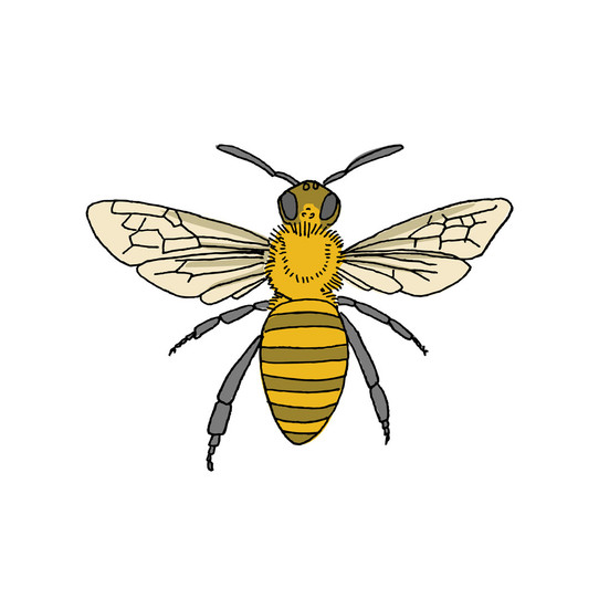 Tattly Temporary Tattoo Set - Honey Bee