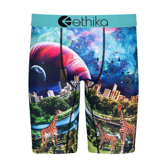 Ethika Men's Giraffika Boxer Briefs Green/Blue