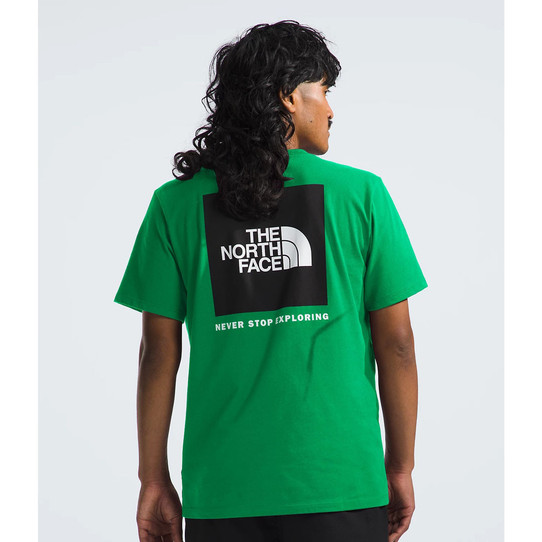 The North Face Men's Box NSE Logo Tee in Optic Emerald