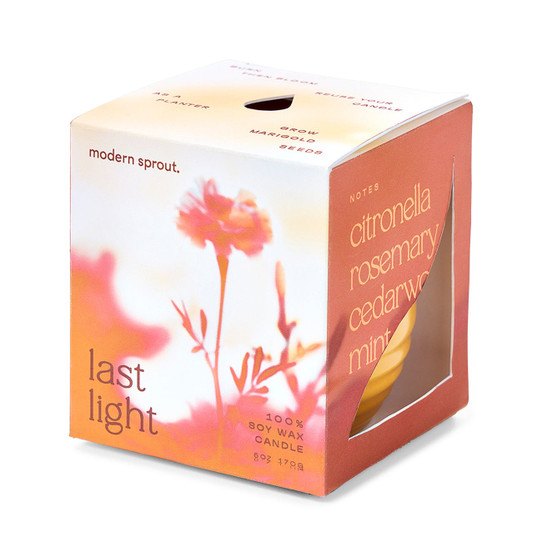 Modern Sprout Last Light 2-in-1 Candle Planter - Last Light