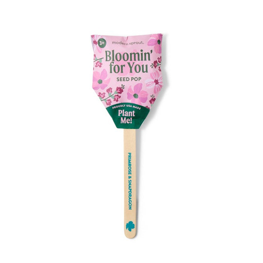 Modern Sprout Flower Seed Pop - Bloom' For You
