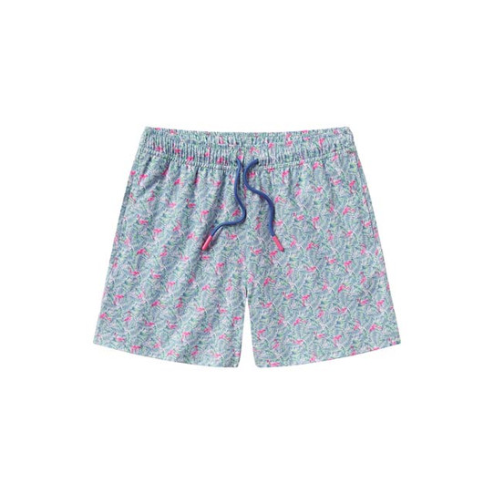 Southern Shirt Boys' Lets Flamingle Swim Shorts front view