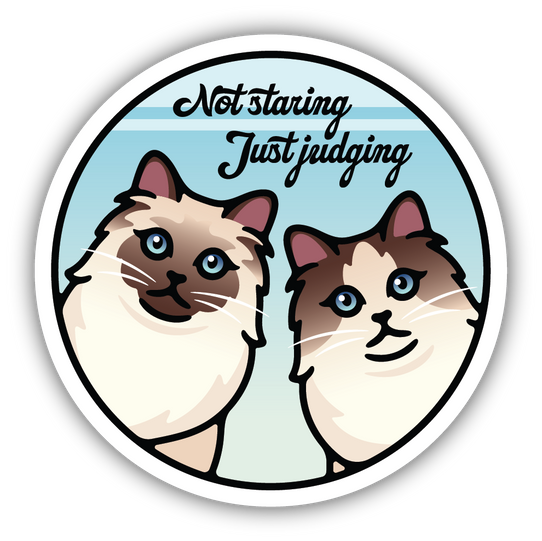Stickers Northwest Not Staring Just Judging Sticker