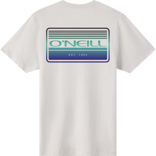 O'Neill Men's Banner Classic Tee FOG back view