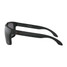 Men's Matte Black/ Prizm Black Holbrook XL Polar Glasses