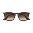 Ray-Ban Chris sunglasses with tortoiseshell frame and brown lenses, angled view