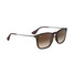 Ray-Ban Chris sunglasses in tortoiseshell frame with brown lenses, angled view