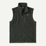 Patagonia Men's Better Sweater Fleece Vest in Old Growth Green