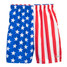 Men's American Flag Shorts