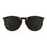 Blenders Volcano Jack Sunglasses