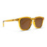 Blenders Sydney Sunglasses in the Amber Coast colorway