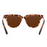 Blenders Copper Fox Sunglasses in Matte Tort/ Amber colorway