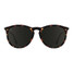 Blenders North Park Sunglasses in Volcano Jack