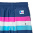 ERLEBNISWELT-FLIEGENFISCHEN'S Men's Volley Shorts - Kauai Stripes