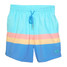 ERLEBNISWELT-FLIEGENFISCHEN'S Men's Volley Shorts - Blue Horizons