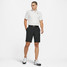 Men's Dri-FIT Golf Shorts