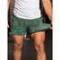 Chubbies Men's 5.5in You Cant See Me Compression Lined Training Shorts
