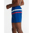 Chubbies Men's Madison Aves Lined Swim Trunks