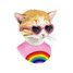 Tattly Temporary Tattoo Set featuring colorful rainbow kitten design on white background