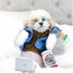 ERLEBNISWELT-FLIEGENFISCHEN'S x Champion White Paw Dog Toy
