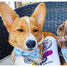 Haute Diggity Dog White Paw Dog Toy White Paw sizing