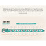 Zilker Belts Texas Monthly 50th Anniversary Belt cognac size chart