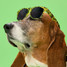 goodr Howling at the Neon Moon Sunglasses