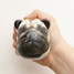 Kikkerland Pug Dog Stress Ball SB03 A Action 2 front view