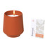 Modern Sprout Rooted Candle Modern Sprout Rooted Candle