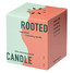 Modern Sprout Rooted Candle