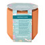 Modern Sprout Tiny Terracotta Growing Kit displayed at angle view