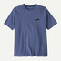 Patagonia Men's '73 Skyline Organic Tee in Current Blue alternate front